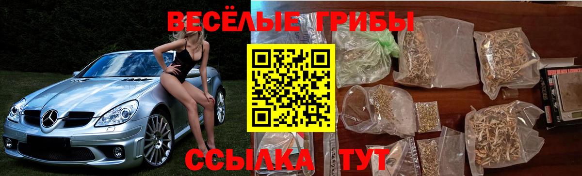 Галлюциногенные грибы мухоморы  Вход с VPN  продажа наркотиков  Краснодар  Псилоцибиновые грибы Magic Shrooms 